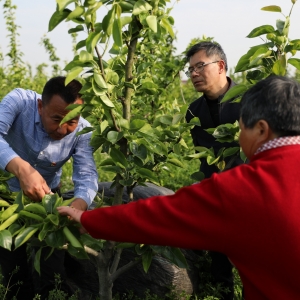 江苏如皋徐湾社区：阅读空间“乔迁”梨园，把科技“种”在田间地头 ...